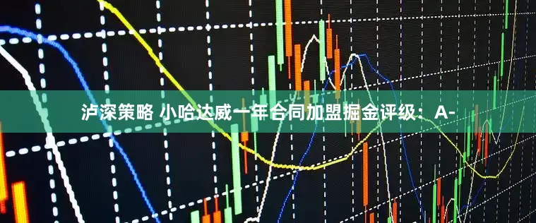 泸深策略 小哈达威一年合同加盟掘金评级：A-